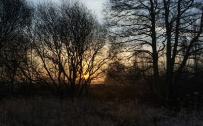 PREVÉN BAJAS TEMPERATURAS POR FRENTE FRÍO 27 EN ZONAS ALTAS DEL ALTIPLANO