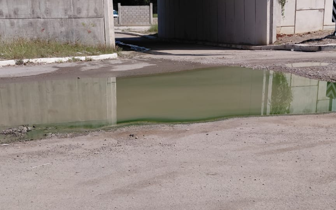 ECOLOGÍA ATIENDE DENUNCIAS AMBIENTALES EN LA DELEGACIÓN EL PUJAL, CIUDAD VALLES