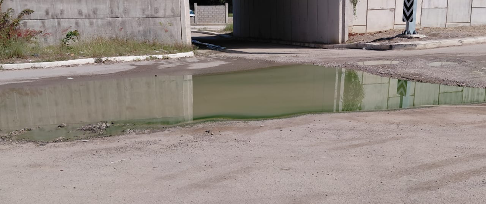 ECOLOGÍA ATIENDE DENUNCIAS AMBIENTALES EN LA DELEGACIÓN EL PUJAL, CIUDAD VALLES