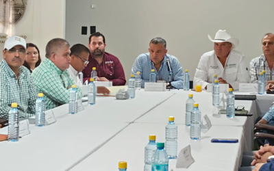 AUTORIDADES SE REÚNEN EN CIUDAD VALLES PARA PREVENIR LA LLEGADA DEL GUSANO BARRENADOR AL GANADO EN LA HUASTECA