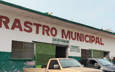 CIUDAD VALLES REFUERZA SUPERVISIONES EN EL RASTRO MUNICIPAL PARA PREVENIR EL INGRESO DE GANADO INFECTADO