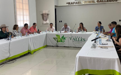 CABILDO DE CIUDAD VALLES REVISA Y TURNA A COMISIONES PROPUESTAS PARA ACTUALIZAR REGLAMENTOS DE SEGURIDAD Y TRÁMITES MUNICIPALES