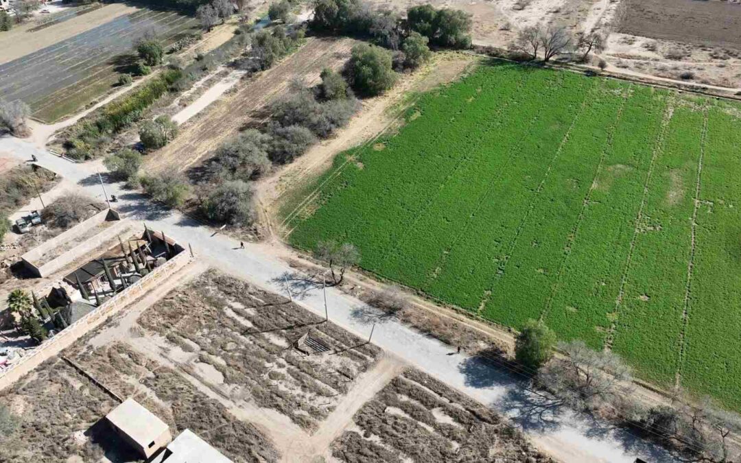 RICARDO GALLARDO INICIA CAMINO METROPOLITANO CON SOLEDAD Y CERRO DE SAN PEDRO