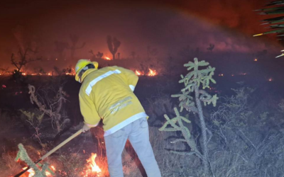 GOBIERNO DEL ESTADO REFUERZA OPERATIVO CONTRA INCENDIO EN SANTO DOMINGO