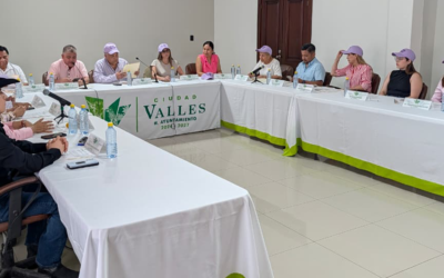 CABILDO DE CIUDAD VALLES TURNA NUEVOS REGLAMENTOS A COMISIONES