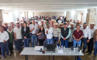 COORDINAN ACCIONES REGIONALES PARA CONTROL DEL GUSANO BARRENADOR DEL GANADO
