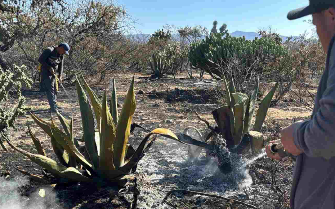 RESPONDE ESTADO CON ACCIONES OPORTUNAS ANTE INCENDIOS