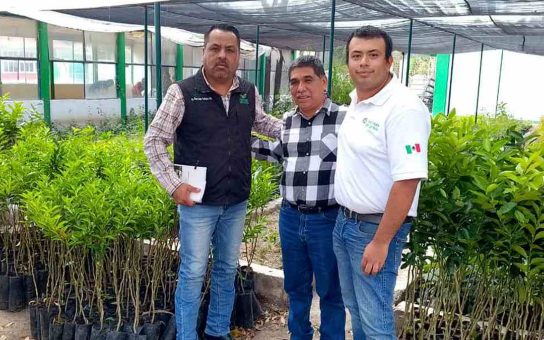 SAN ANTONIO RECIBE APOYOS HISTÓRICOS PARA FORTALECER AL CAMPO