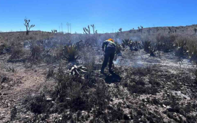 INCENDIO EN SANTO DOMINGO QUEDA BAJO CONTROL TOTAL