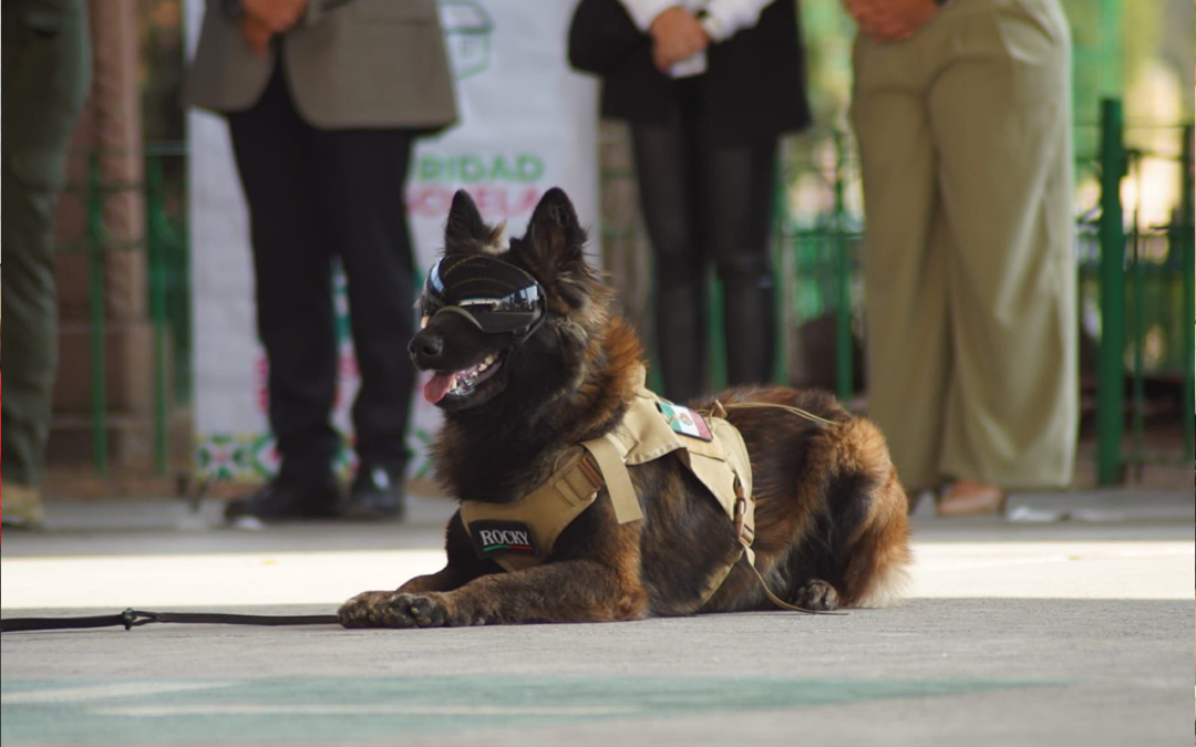 IMPULSAN JORNADAS DE PREVENCIÓN PARA ESCUELAS SEGURAS EN SAN LUIS POTOSÍ
