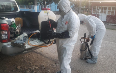 IMPLEMENTAN ACCIONES SANITARIAS PARA PREVENIR GUSANO BARRENADOR EN REGIONES DEL ESTADO