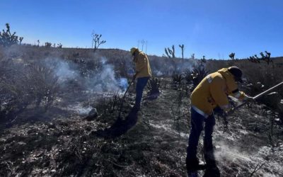 INCENDIO EN SANTO DOMINGO QUEDA BAJO CONTROL TOTAL