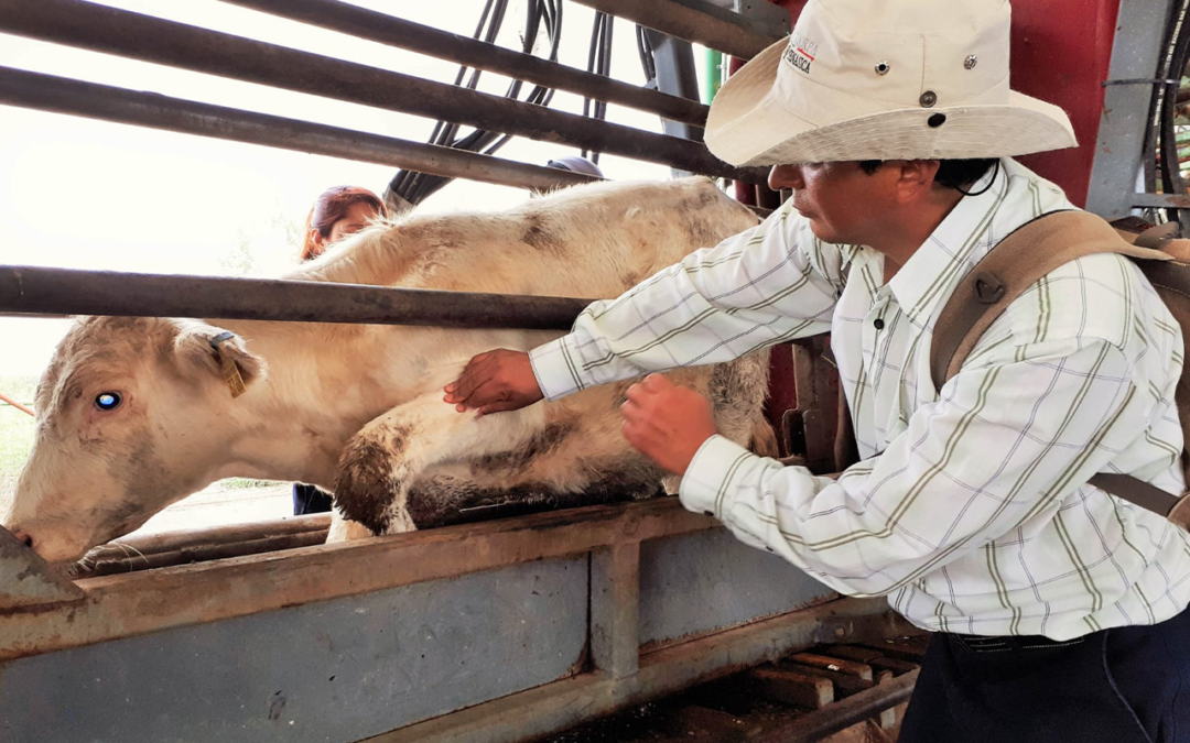 APRUEBAN 87.8 MILLONES DE PESOS PARA SANIDAD AGRÍCOLA, PECUARIA Y ACUÍCOLA EN SAN LUIS POTOSÍ
