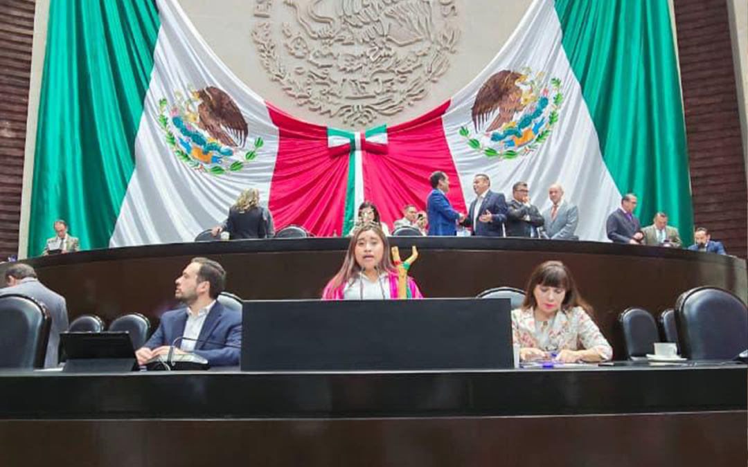 JOVEN XI’IUY PARTICIPA EN LA CÁMARA DE DIPUTADOS SOBRE PROFESIONALIZACIÓN DE MUJERES INDÍGENAS