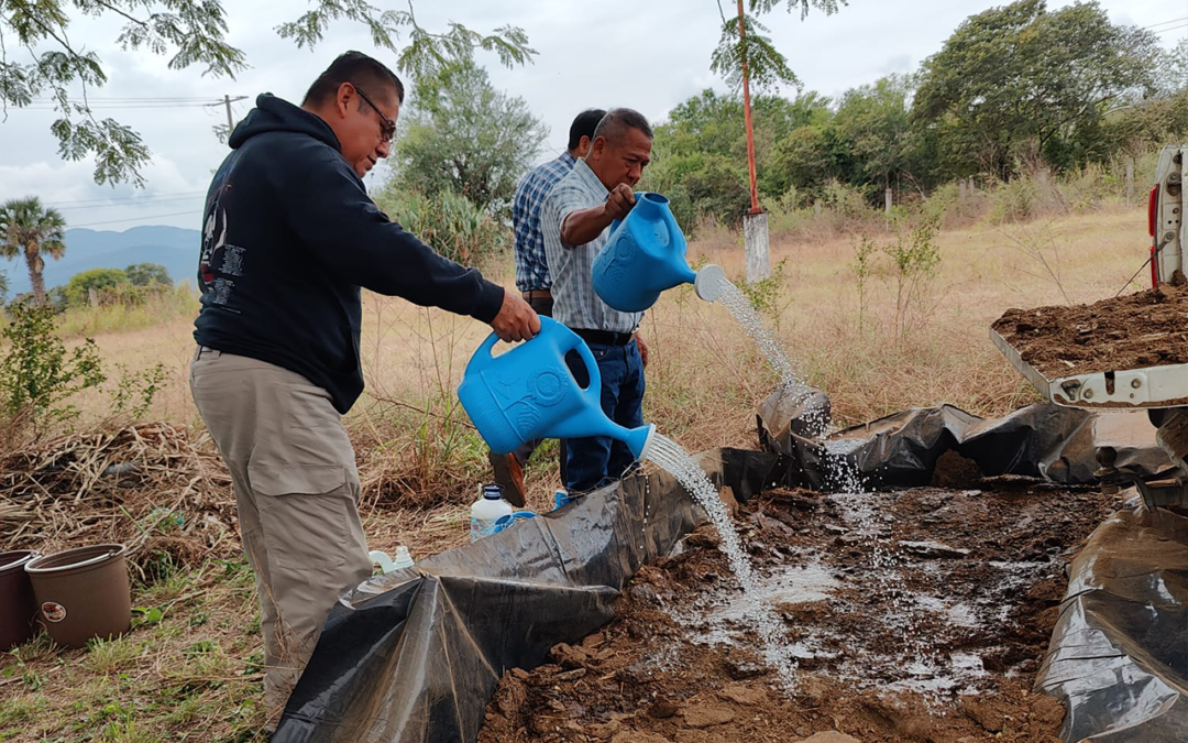 ENTREGAN ÁRBOLES PARA REFORESTACIÓN Y APOYO AGRÍCOLA EN SAN LUIS POTOSÍ