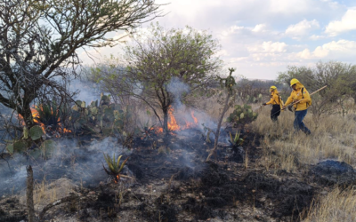 REFUERZAN ESTRATEGIAS DE PREVENCIÓN Y ATENCIÓN DE INCENDIOS FORESTALES