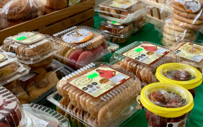 ARTESANOS POTOSINOS REGISTRAN VENTAS EN MUESTRA CULTURAL EN EL SENADO