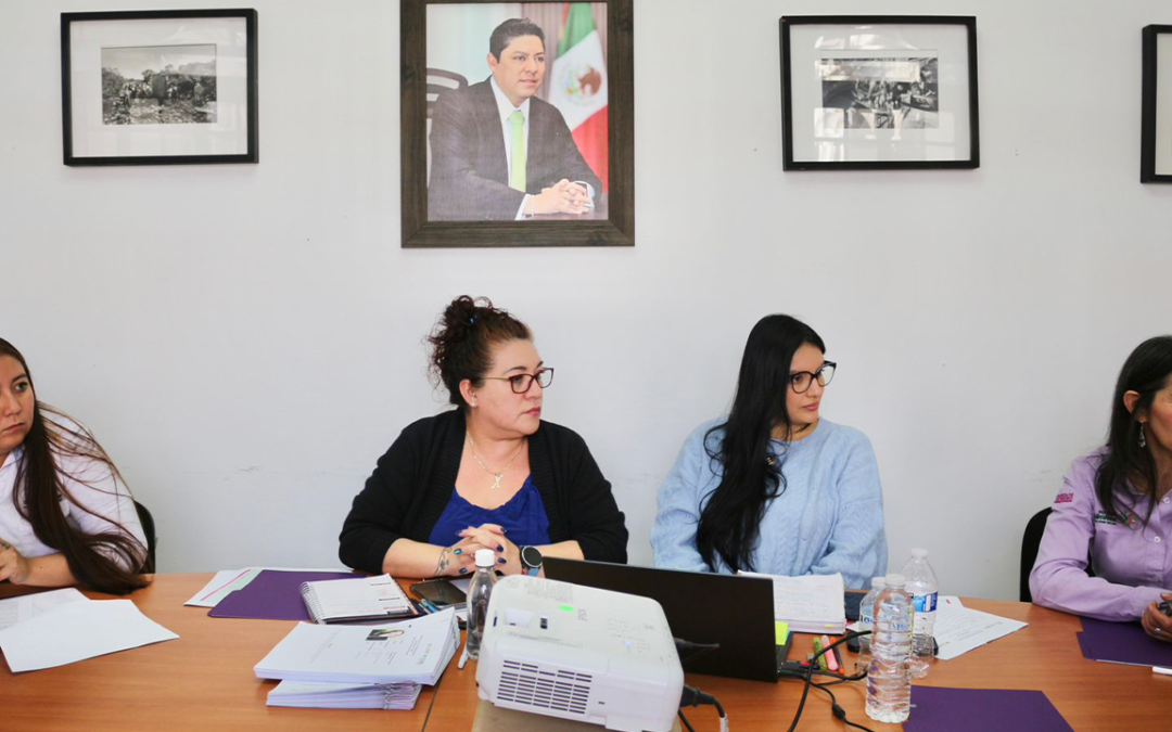 COMITÉ DE POTOSINA DEL AÑO SESIONA PARA DEFINIR A GALARDONADAS