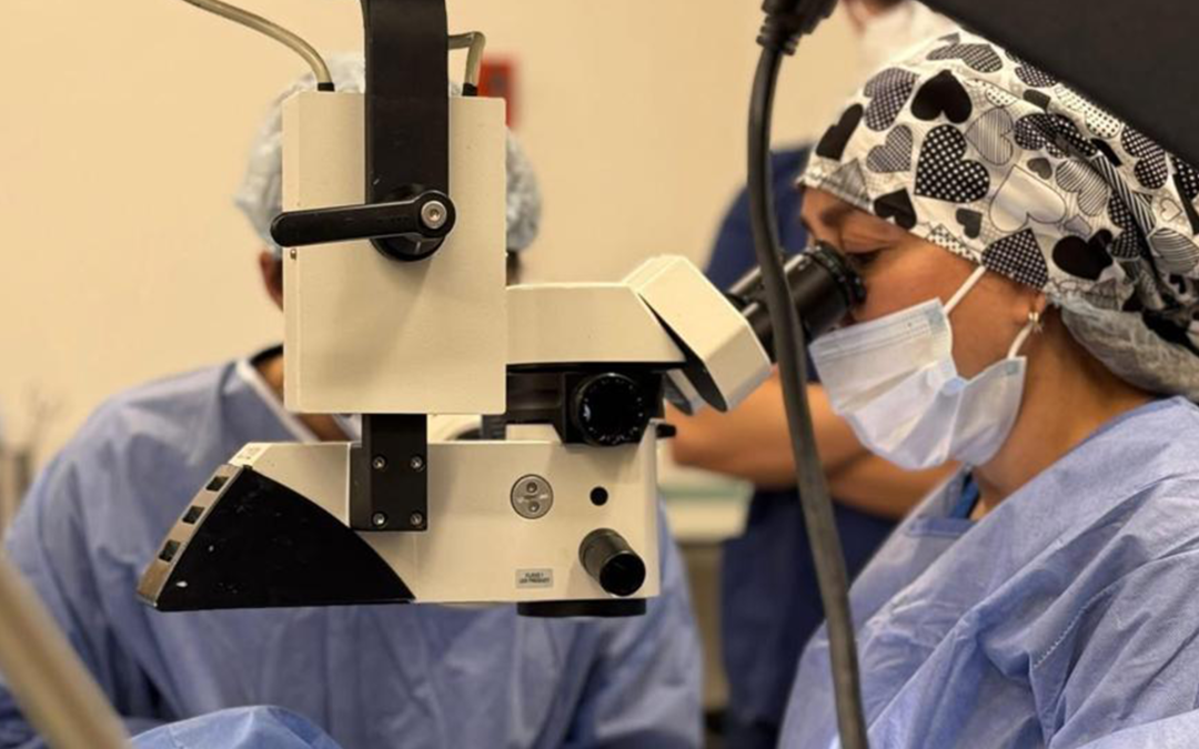 SAN LUIS AVANZA EN TRASPLANTES Y FORTALECE LA CULTURA DE DONACIÓN