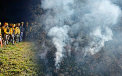 A CONTRARRELOJ, COMBATEN INCENDIO FORESTAL EN CIUDAD DEL MAÍZ