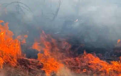 INCENDIOS FORESTALES SE ADELANTAN Y SUPERAN CIFRAS EN SAN LUIS POTOSÍ