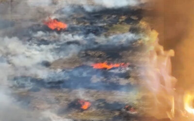 SLP ES PRIMER LUGAR NACIONAL EN DAÑOS POR INCENDIOS FORESTALES ESTE 2026
