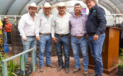 IMPLEMENTAN PROYECTOS DE ACUAPONIA EN LA REGIÓN MEDIA