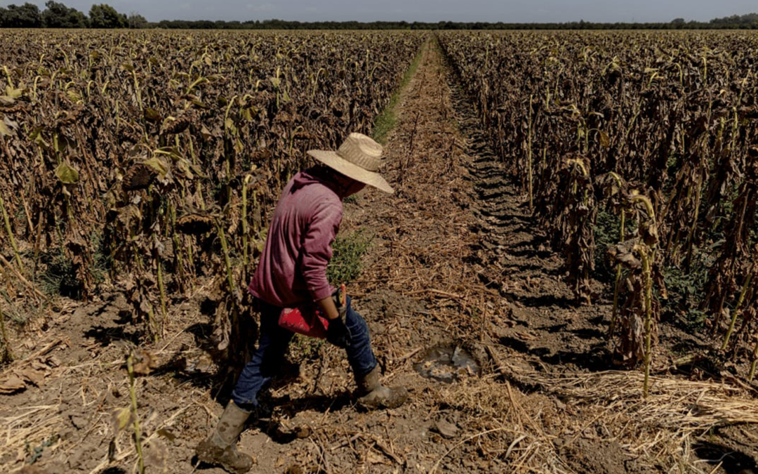REFUERZAN MEDIDAS PREVENTIVAS ANTE OLA DE CALOR EXTREMA