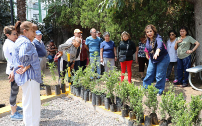 REALIZAN JORNADA DE REFORESTACIÓN CON PARTICIPACIÓN DE ADULTOS MAYORES