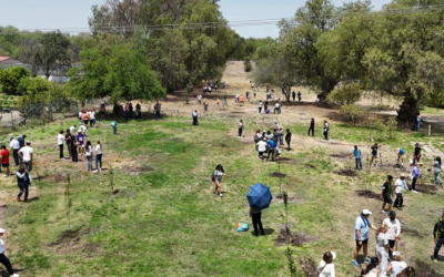 REGISTRAN AFLUENCIA DE MÁS DE 72 MIL VISITANTES EN PARQUES ESTATALES