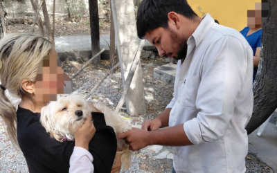 VACUNACIÓN ANTIRRÁBICA APLICA 132 DOSIS EN CIUDAD VALLES