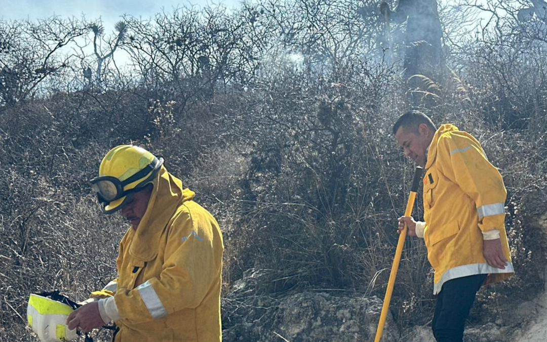 REPORTAN 70 INCENDIOS FORESTALES Y MÁS DE 22 MIL HECTÁREAS AFECTADAS EN EL AÑO
