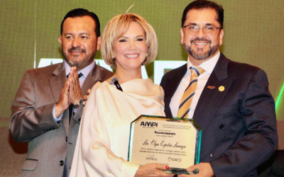 REGULACIÓN Y REGISTRO DE AGENTES INMOBILIARIOS COMO PARTE DE ESTRATEGIA SECTORIAL