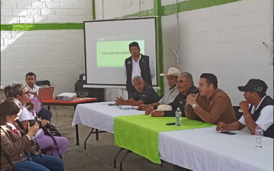 INTENSIFICAN ACCIONES DE CONTROL DEL GUSANO BARRENADOR EN EL SECTOR PECUARIO