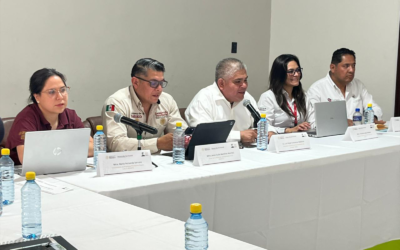REVISAN AVANCES DE PROGRAMA VIVIENDA DEL BIENESTAR EN CIUDAD VALLES
