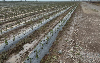 AUTORIDADES EVALÚAN DAÑOS POR TROMBA EN LA CAPITAL Y VILLA DE ARISTA