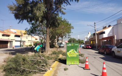 REALIZAN TRABAJOS DE REHABILITACIÓN URBANA EN SAN ÁNGEL I Y II