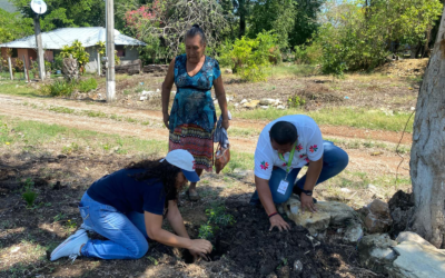 DESTINAN 500 ÁRBOLES EN JORNADA DE REFORESTACIÓN EN CIUDAD VALLES