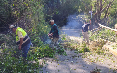 RETIRAN OBSTRUCCIONES EN CAMINO COMOCA-AXTLA