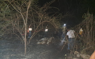 INCENDIO EN EL VELADERO DEJA AFECTACIÓN DE 40 HECTÁREAS EN CIUDAD VALLES