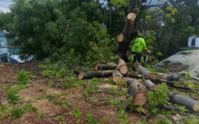 ATENDIERON REPORTES POR LLUVIAS Y VIENTOS DURANTE EL FIN DE SEMANA EN CIUDAD VALLES