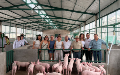 INAUGURAN GRANJA PORCÍCOLA EN SAN CIRO DE ACOSTA