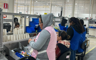 ENCUESTA REPORTA AUMENTO DE PERSONAS OCUPADAS EN SAN LUIS POTOSÍ