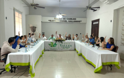CABILDO DE CIUDAD VALLES APRUEBA ACCIONES VIALES Y REVISA REGLAMENTO
