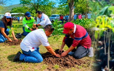 REFORESTACIÓN EN CD. VALLES BUSCA RESCATAR ENTORNOS NATURALES