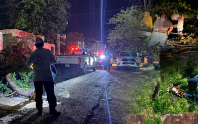 TORMENTA GOLPEÓ CD. VALLES: ÁRBOLES CAÍDOS, CABLES DERRIBADOS Y DAÑOS EN VIVIENDAS