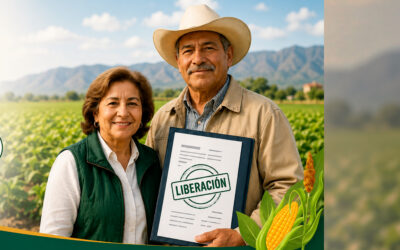 LANZAN PROGRAMA PARA REGULARIZAR CRÉDITOS DE PRODUCTORES AFECTADOS POR EL CIERRE DE LA FINANCIERA NACIONAL