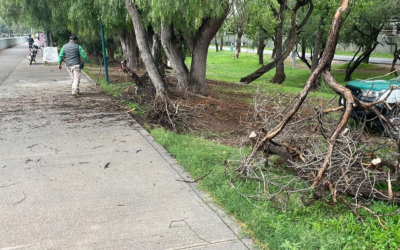 ACCIONES PREVENTIVAS EN PARQUES TANGAMANGA POR LLUVIAS EN SAN LUIS POTOSÍ