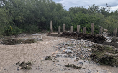 ALERTA PREVENTIVA POR LLUVIAS Y TORMENTAS EN EL ALTIPLANO, MEDIA Y HUASTECA