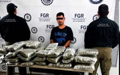 LLEVABA 32 KILOS DE MARIHUANA EN UN AUTOBÚS; RECIBE CONDENA DE NUEVE AÑOS